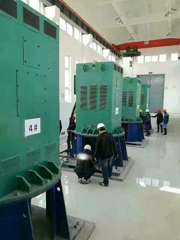 Y6302-2/2800KW某污水处理厂使用我厂的立式高压电机安装现场